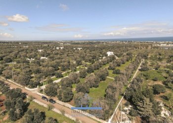 152152.jpg - Rustico Carovigno - foto 2