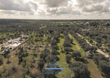 155155.jpg - Rustico Carovigno - foto 5