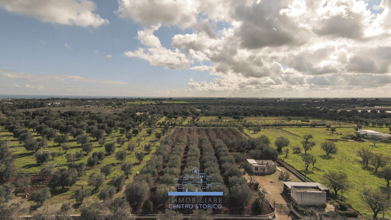 141141.jpg - Villa contrada sierri, Carovigno - foto 1