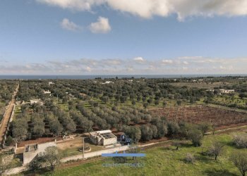 143143.jpg - Villa contrada sierri, Carovigno - foto 3