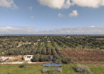 144144.jpg - Villa contrada sierri, Carovigno - foto 4