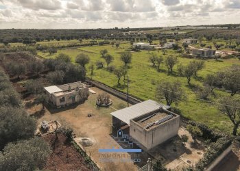 148148.jpg - Villa contrada sierri, Carovigno - foto 8