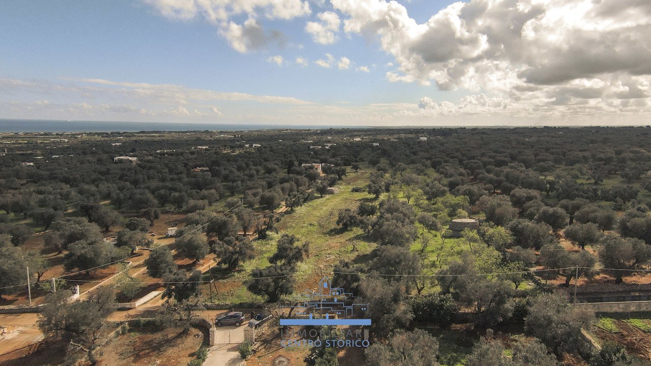 134134.jpg - Building land contrada sierri, Carovigno - photo 1