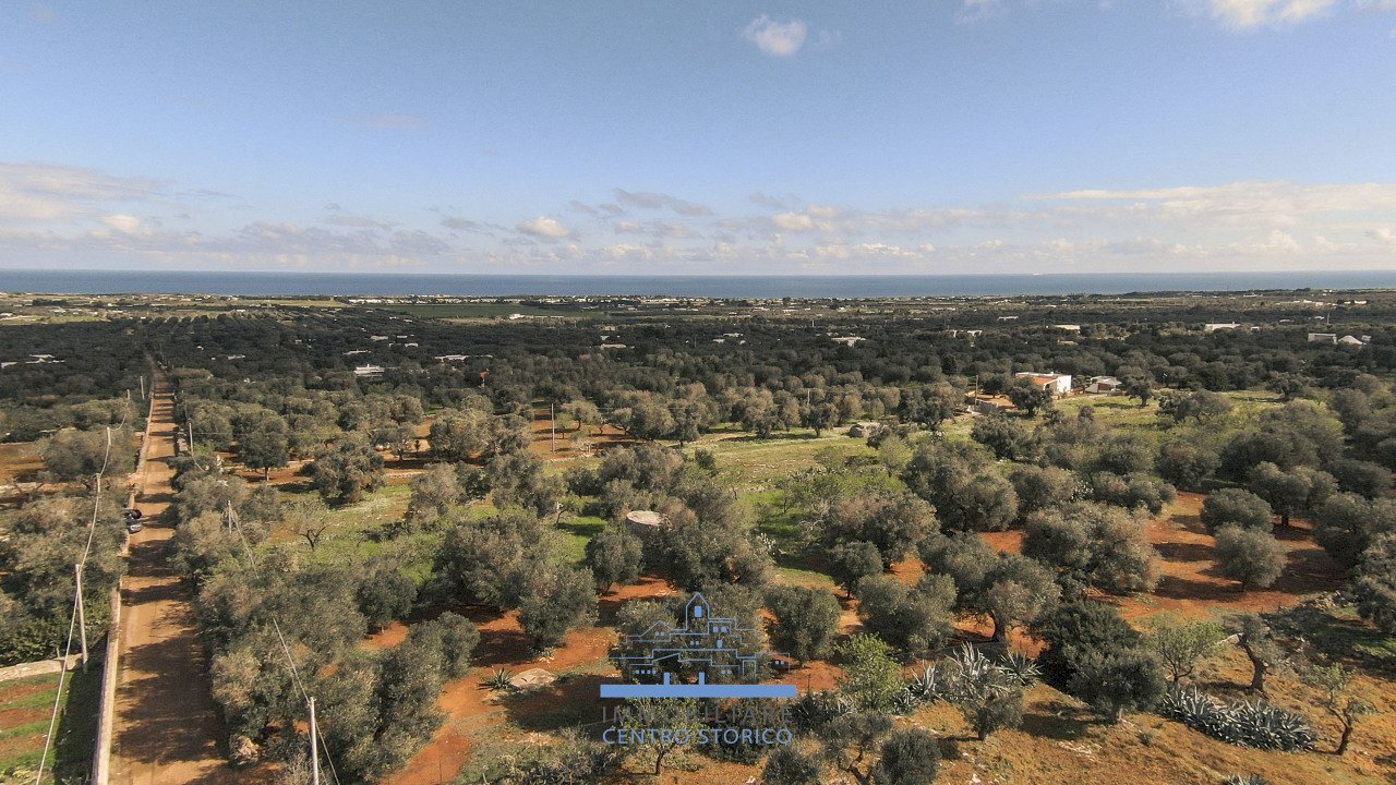 136136.jpg - Building land contrada sierri, Carovigno - photo 3