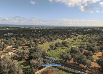 135135.jpg - Terreno edificabile contrada sierri, Carovigno - foto 2