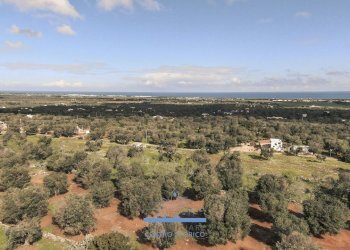 137137.jpg - Terreno edificabile contrada sierri, Carovigno - foto 4