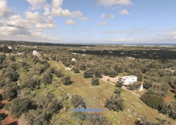 138138.jpg - Terreno edificabile contrada sierri, Carovigno - foto 5