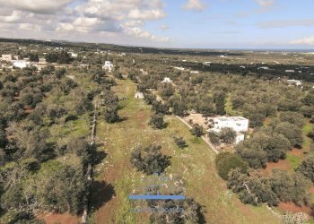 139139.jpg - Terreno edificabile contrada sierri, Carovigno - foto 6