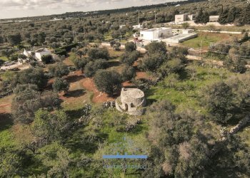 140140.jpg - Terreno edificabile contrada sierri, Carovigno - foto 7