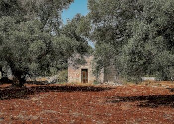 g.l.-9.jpg - Rustico contrada fatima, Carovigno - foto 8