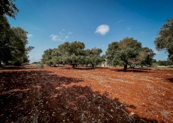 g.l.-10.jpg - Rustico contrada fatima, Carovigno - foto 9