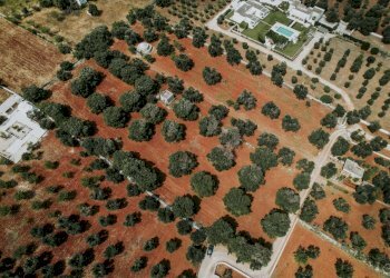 g.l.-11.jpg - Rustico contrada fatima, Carovigno - foto 10