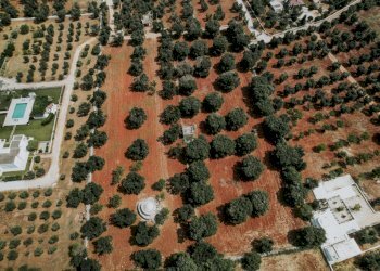 g.l.-13.jpg - Rustico contrada fatima, Carovigno - foto 12