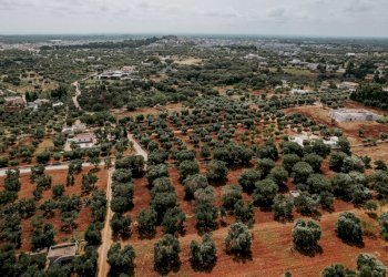 g.l.-14.jpg - Rustico contrada fatima, Carovigno - foto 13