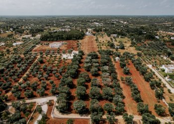 g.l.-15.jpg - Rustico contrada fatima, Carovigno - foto 14