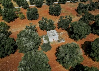 g.l.-16.jpg - Rustico contrada fatima, Carovigno - foto 15