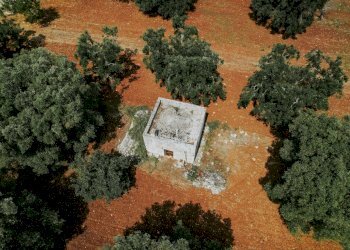 g.l.-17.jpg - Rustico contrada fatima, Carovigno - foto 16