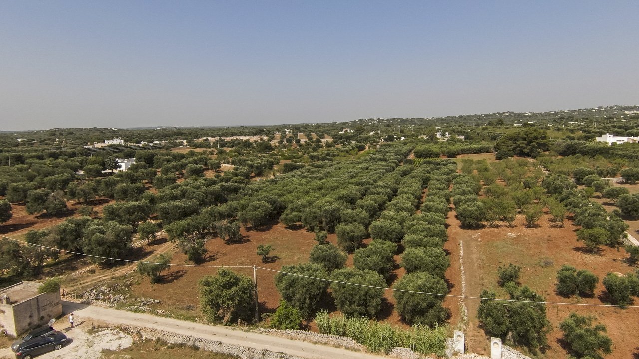 23.JPG.jpg - Terreno edificabile Contrada Santo ScaloneSANTO SCALONE snc, Ostuni - foto 2