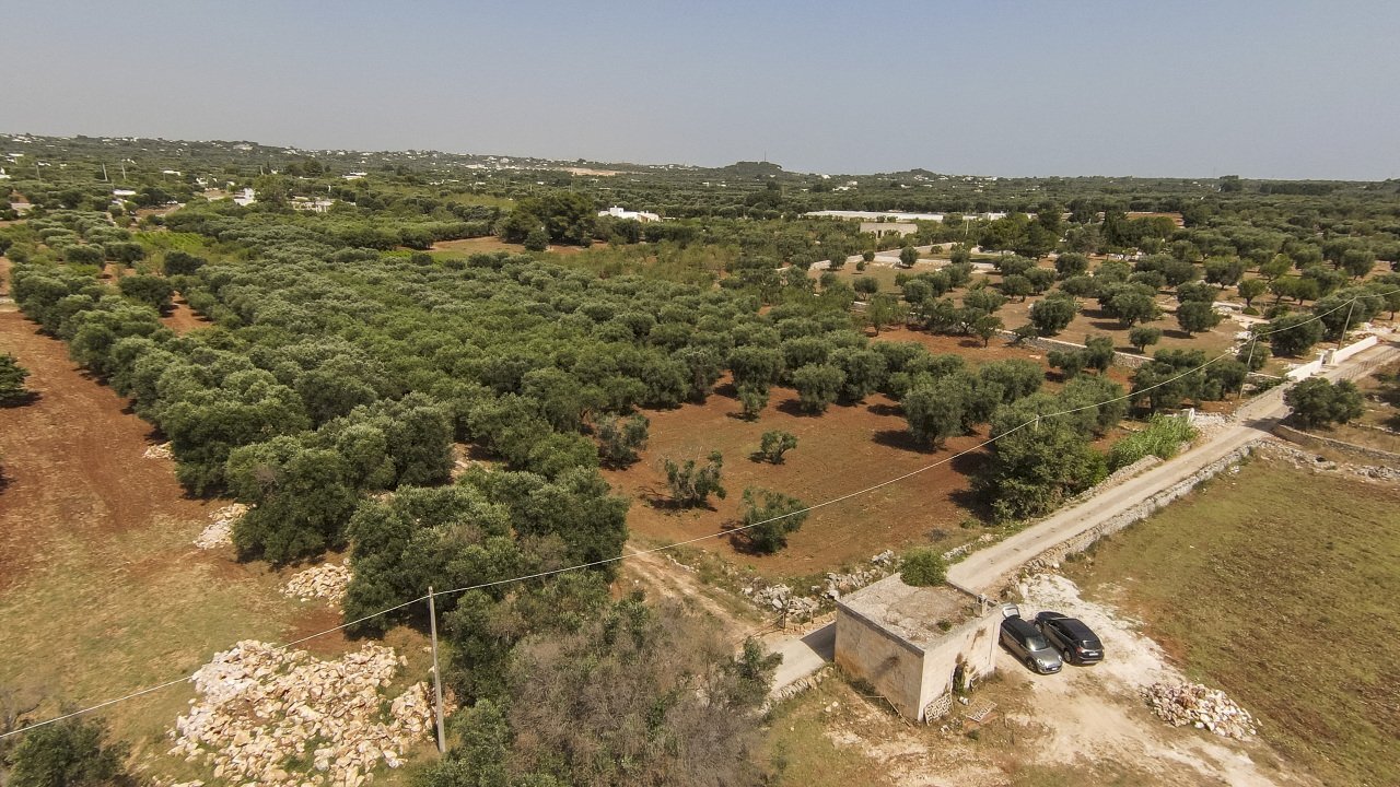 24.JPG.jpg - Terreno edificabile Contrada Santo ScaloneSANTO SCALONE snc, Ostuni - foto 3