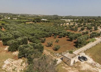 24.JPG.jpg - Terreno edificabile Contrada Santo ScaloneSANTO SCALONE snc, Ostuni - foto 3