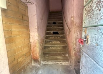 IMG_5554.JPG - Terratetto - Terracielo Seravezza - foto 4