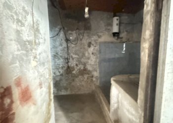 IMG_5555.JPG - Terratetto - Terracielo Seravezza - foto 5