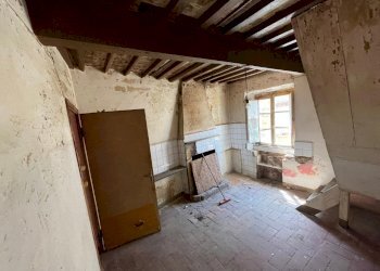 2c6de2e8-09b9-4656-b5dc-85043e4fb7ec.JPG - Terratetto - Terracielo Seravezza - foto 14