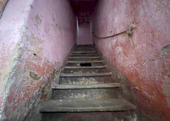 689f6abc-b93e-4596-81cd-dc81edae0658.JPG - Terratetto - Terracielo Seravezza - foto 23