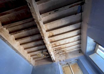 af758434-847a-4a03-a22b-6e6b314a215f.JPG - Terratetto - Terracielo Seravezza - foto 30