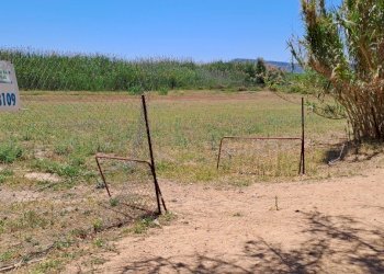 ingresso (3).jpg - Terreno agricolo Quartu Sant'Elena - foto 5