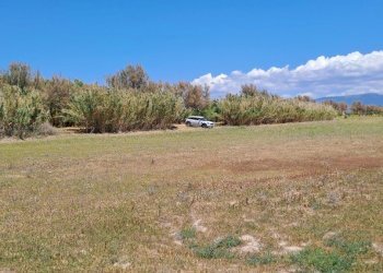 verso l\'ingresso.jpg - Terreno agricolo Quartu Sant'Elena - foto 6