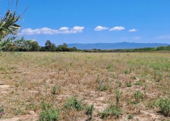 verso est (2).jpg - Terreno agricolo Quartu Sant'Elena - foto 3