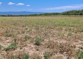 verso est (3).jpg - Terreno agricolo Quartu Sant'Elena - foto 8