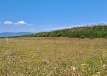 verso est (4).jpg - Terreno agricolo Quartu Sant'Elena - foto 9