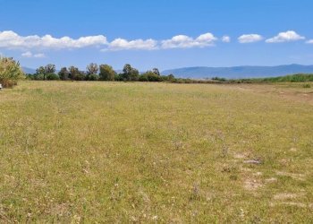 verso est (5).jpg - Terreno agricolo Quartu Sant'Elena - foto 10