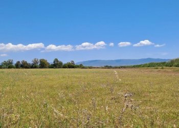 verso est (6).jpg - Terreno agricolo Quartu Sant'Elena - foto 11