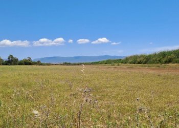 verso est (7).jpg - Terreno agricolo Quartu Sant'Elena - foto 12