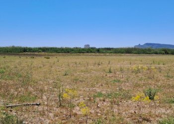 verso sud  (1).jpg - Terreno agricolo Quartu Sant'Elena - foto 13
