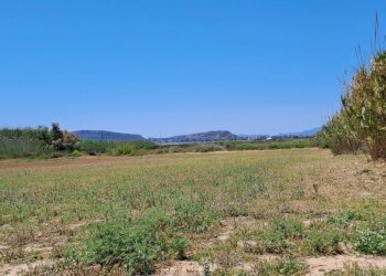 verso sud ovest (1).jpg - Terreno agricolo Quartu Sant'Elena - foto 17
