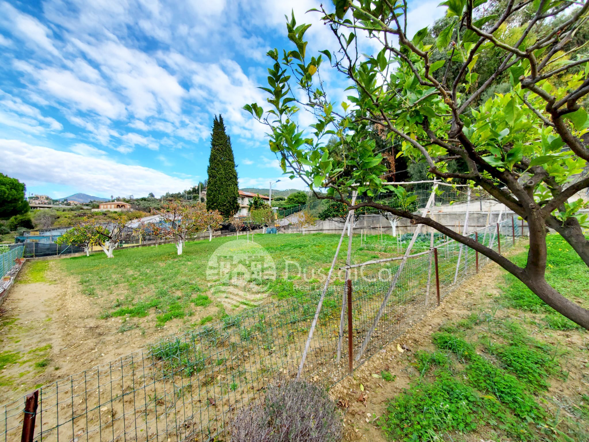 Giardino - Apartment in Villa via Sapergo, Bordighera - photo 3