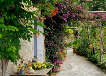 Rustico via casone, Pietrasanta - foto 5