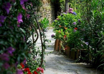 Rustico via casone, Pietrasanta - foto 9