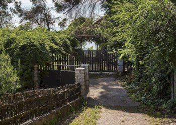 Villa strada Costiera, Trieste - foto 4