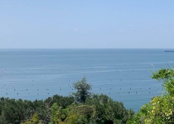 Villa strada Costiera, Trieste - foto 2