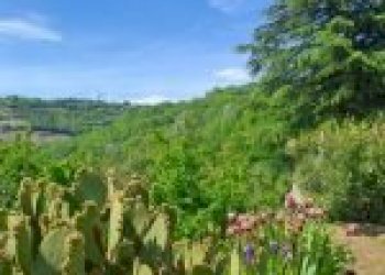 Terreno agricolo Santo Stefano Belbo - foto 33