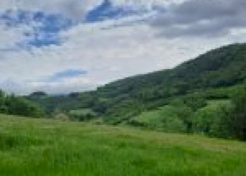 Terreno agricolo Santo Stefano Belbo - foto 55