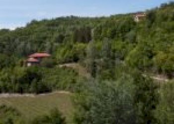 Terreno agricolo Santo Stefano Belbo - foto 56