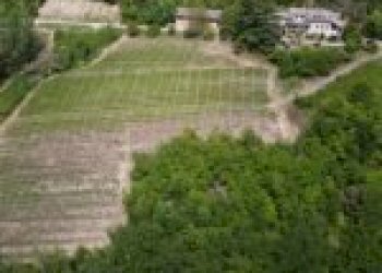 Terreno agricolo Santo Stefano Belbo - foto 58