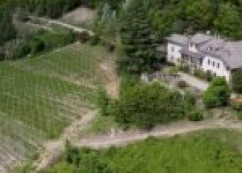 Terreno agricolo Santo Stefano Belbo - foto 59