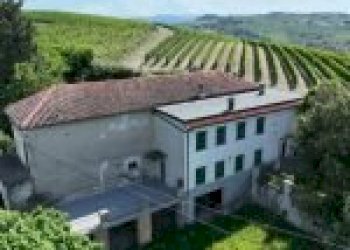 Azienda agricola Santo Stefano Belbo - foto 5